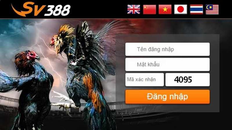 Có thể trải nghiệm dịch vụ gì khi đăng ký SV388?