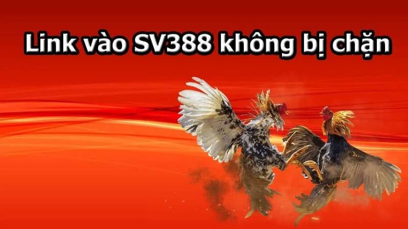 Sử dụng link vào Sv3888 mới nhất từ nhà cái